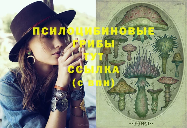 кокс Нея